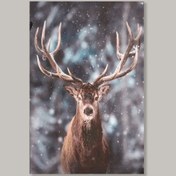 Resim Q-Art Dekoratif Reindeer Kanvas Tablo - 60x90 cm 