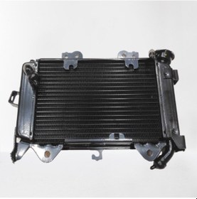 Resim Bajaj Pulsar Ns 200 Radyatör Kuralkan 