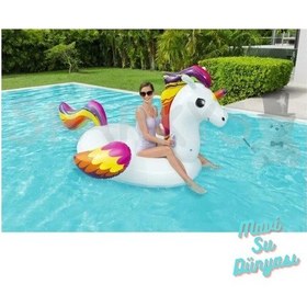 Resim Pegasus Tutmalı Binici 220 X 195 Cm 