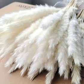 Resim 16/32 Adet Yapay Tavşan Kuyruğu Çimi Dekoru - Kabarık Beyaz Pampas Otlu Boho Ev Dekorasyonu Sevgililer Günü, Paskalya, Anneler Günü, Mezuniyet, Noel, Cadılar Bayramı, Düğünler İçin - İç/Dış Mekan Vazo Düzenlemeleri, Bakım Gerektirmez, Şenlikli Süsleme, Çok Yönlü Düzenleme, Dayanıklı Sahte Çim 