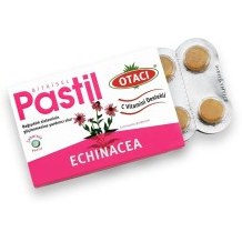Resim Otacı Bitkisel Pastil 16 Pastil - Ekinezya 