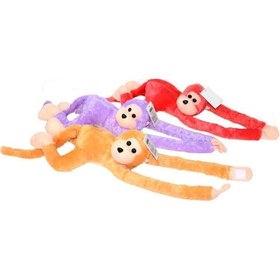 Resim Sesli Peluş Maymun Oyuncak Renkli 