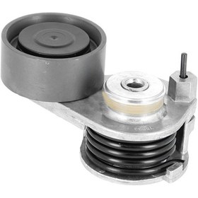 Resim GERGİ KASNAĞI DAF 1695242 