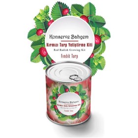 Resim Leyaton BUFFER® Konserve Bahçem Evde Konservede Fındık Turp Yetiştirme Kiti LWLHM-YTRS345 