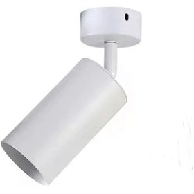 Resim Rsylight Retro Metal Mafsallı Beyaz Dekotatif Spot Günışığı Ampul Beyaz 