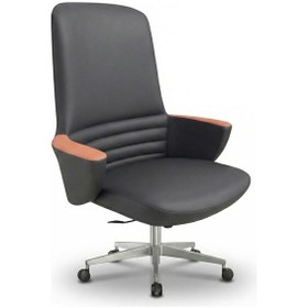 Resim Zıeno Bıcolor Çalışma Koltuğu Diğer 