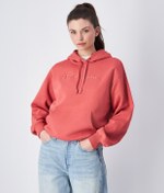 Resim Champion Script Shop Hooded Sweatshirt 