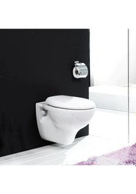 Resim Turkuaz Lila Asma Klozet ve Lila Yavaş Kapanan Pp Kapak 