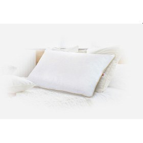 Resim Kaztüyü Gold Yastık 