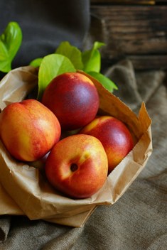 Bahçevilya Kuşburnu Fidanı (Rosa Canina) 40-60 cm Yüksekliğinde 1-2 Yaş Arası Saksılı - 3 Adet