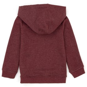 Resim U.S. Polo Assn. Erkek Bebek Bordo Basic Sweatshirt 50276033-VR014 