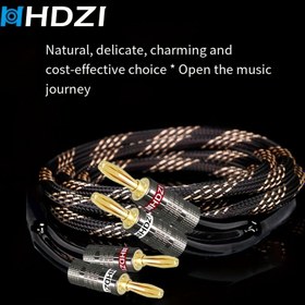 Resim Ev Sineması ve Stereo Sistemleri için HHDZI Profesyonel Hi-Fi Hoparlör Kablosu - Altın Kaplama Bağlantı Noktaları, Karışmayan Dayanıklı Düz Tasarım, 4+4 Pinli EPS, Elektroniksiz Pasif Ses Kablosu ile Birleştirme Konnektörler (Siyah) 