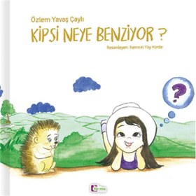 Resim Kipsi Neye Benziyor? 
