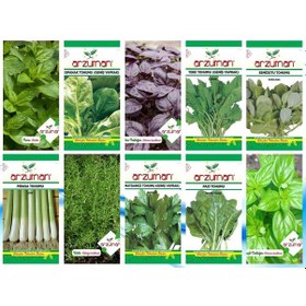 Resim Arzuman Yerli 10 Çeşit Yeşillik Tohum Seti2 N114132 