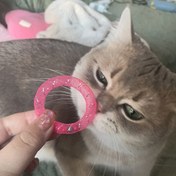 Resim Zillerli Renkli Plastik Kedi Tünel Oyuncakları 5'li Set - Tüm Irklar İçin Etkileşimli Kendi Kendine Oyun, Pil Gerektirmez, Yumuşak ve Dayanıklı Tasarım, Köpekler ve Kediler için Etkileşimli Oyuncak 