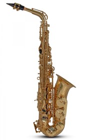 Resim Roy Benson AS-202 Alto Saksafon 