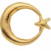 Resim Vatan Vt634 Rozet Ayyıldızlı Prinç (gold) 30 Lu (1 Paket 30 Adet) 