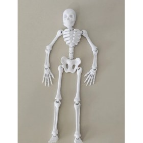 Resim Büyük Boy Iskelet Sallanan (20 Cm) Dmrz Home 