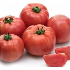 Resim Yüksek Verimli İri Beef Songül Sırık Pembe Domates Fidesi 5 Adet 