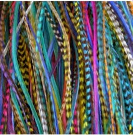 Resim Hairfeathers.Sülün Tüyü.Saç Tüyü Sty33223 