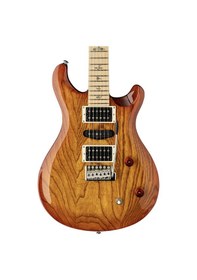 Resim Prs Se Swamp Ash Special Elektro Gitar Vintage Sunburst 