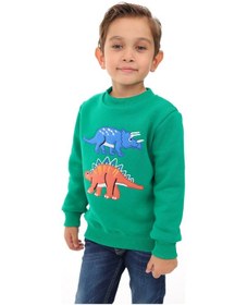 Resim Toontoy Kids Toontoy Erkek Çocuk Nakışlı Sweatshirt Çimen Yeşili 