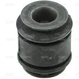 Resim Denge Kol Burcu Arka 4 4 Duster 