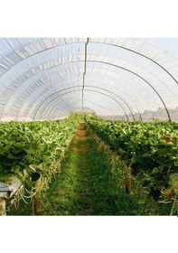 Resim 10 M2 Sera Kolay Kurulabilir Ve Taşınabilir Sera 
