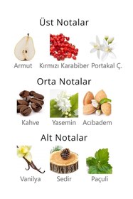 Resim Aqua Di Polo 1987 La Rocca Body Splash Vücut Spreyi 150ml | Çiçeksi | Armut, Portakal Çiçeği, Yasemin, Vanilya, Sedir 