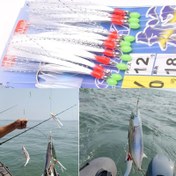 Resim 1 paket Parlayan Boncuklu Deniz Balıkçılığı saç tokası, Dayanıklı Yem Jig, Tatlısu ve Deniz Balıkçılığı İçin Balıkçılık Takımı 