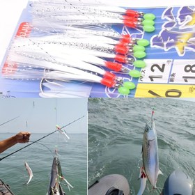 Resim 1 paket Parlayan Boncuklu Deniz Balıkçılığı saç tokası, Dayanıklı Yem Jig, Tatlısu ve Deniz Balıkçılığı İçin Balıkçılık Takımı 