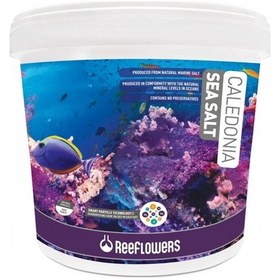 Resim Reeflowers Caledonia Sea Salt 22.5 Kg 