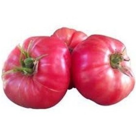 Resim 25 Adet Nadir İri Pembe Domates Tohumu + Sebze Tohumu 