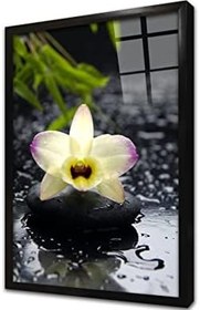 Resim Spa Taşları ve Orkide Çerçeveli Cam Tablo 20x30 cm CA23189 