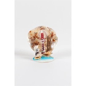 Resim Doğal Deniz Kabukları Kırmızı Deniz Feneri Biblo 