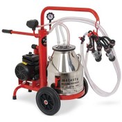 Resim Melasty Ecomini İkili Koyun Süt Sağma Makinesi Paslanmaz Güğüm - Kauçuk Memelik Yağlı Pompa 