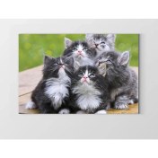 Resim Deniz Çerçeve Kedi Ailesi Tablosu-Çerçevesiz - 100 x 150 