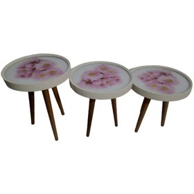 Resim Zigon Sehpa Çember Pembe Karanfil Model Kayın Retro Parlak Ceviz 