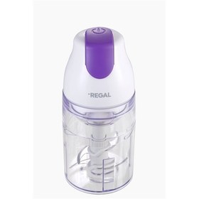 Resim Regal 4 Bıçaklı Rcd 1000 B 