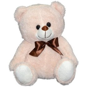 Resim Pl78816Y Halley Peluş Ayı 30 CM 