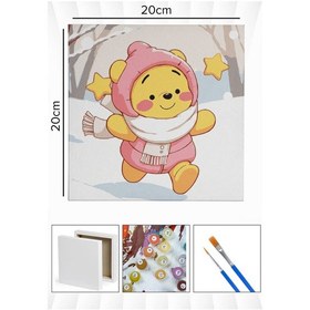 Resim Sayılarla Boyama 20x20 Cm Tuval Seti Fırça Boya Dahil Çıtaya Gerili - Karda Winne 