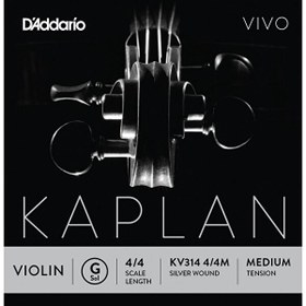 Resim D'Addario KV314 Kaplan Vivo Keman Tek Tel 