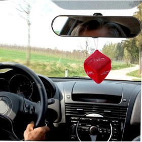 Resim Oto Motto Peluş Zar Kemal Atatürk İmzalı Torpido Araba Süsü Kırmızı 1 Adet 