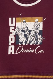 Resim U.s. Polo Assn. Erkek Çocuk Plum Sweatshirt 50308572-vr177 New Plum 