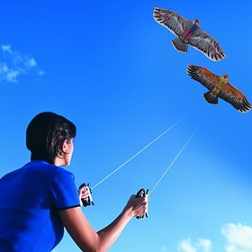 Resim Ekstra Büyük Kartal Uçurtması - 110.01cm Kanat Açıklığı, Uzun İpler (30.0 metre Toplam), Gerçekçi Kahverengi/Kırmızı/Siyah Tüy Tasarımı - Dış Mekan Uçuşu için Sağlam Uçurtma, Doğum Günü Partileri, Uçurtma Dövüşü - Yetişkinler ve Gençler İçin Uygun - Kırmızı, Siyah, Çok Renkli Seçenekler, Park Aktiviteleri, Güçlendirilmiş Çerçeve, Aile Eğlencesi 