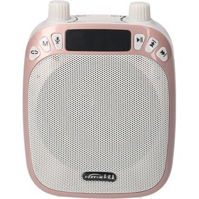Resim Reedark Şarj Edilebilir Taşınabilir Bluetooth Megafon: Mikrofonlu, Aux/tf/usb Girişli Çok Amaçlı Ses Yükseltici Öğretim/tur/şarkı 