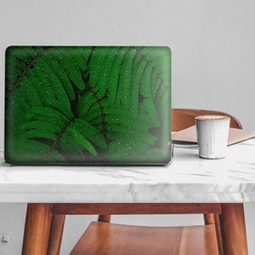 Resim Makro Eğrelti Otu Notebook Sticker, Laptop sticker,, Hp Sticker, Asus Sticker, 15.6 inç Sticker 