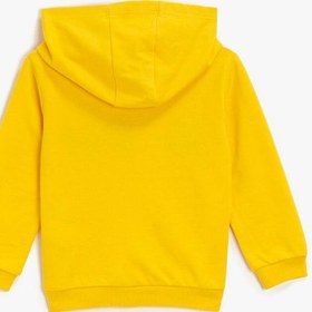 Resim Erkek Bebek Kapüşonlu Sweatshirt İşleme Detaylı 