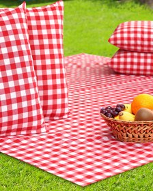 Resim AfgTech Piknik Seti 170x170cm Piti Kareli Piknik Örtüsü, 40x40cm 4 Adet Minder 