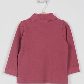 Resim U.S. Polo Assn. U.s. Polo Assn Lisanslı Classic Gül Kurusu Bebek Uzun Kol Yakalı Sweatshirt 